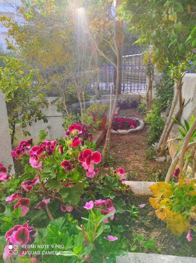 Rigos House At Askeli Beach, Poros Island Vila Poros Town Exterior foto