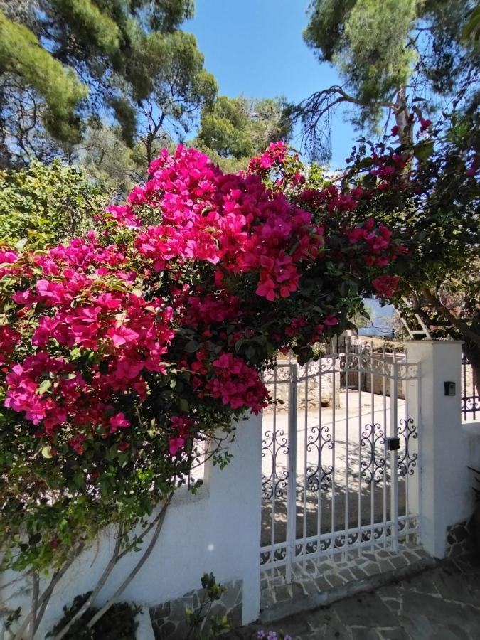 Rigos House At Askeli Beach, Poros Island Poros Town Exterior foto